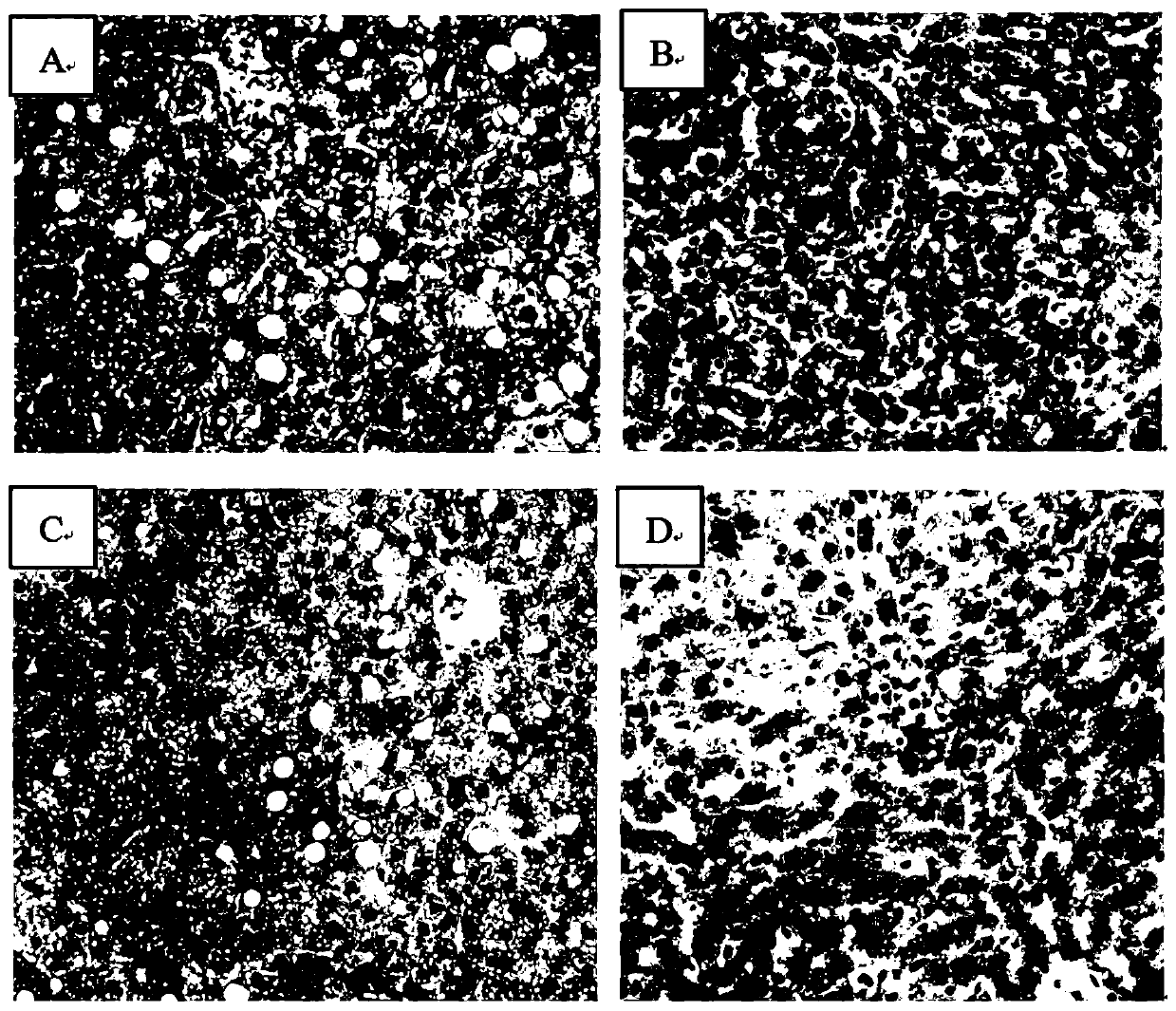 Weight-reducing medicine for diet-induced obesity as well as preparation method thereof