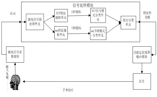 Intraoperative motor area function localization system based on multi-mode electroencephalogram wavelet analysis