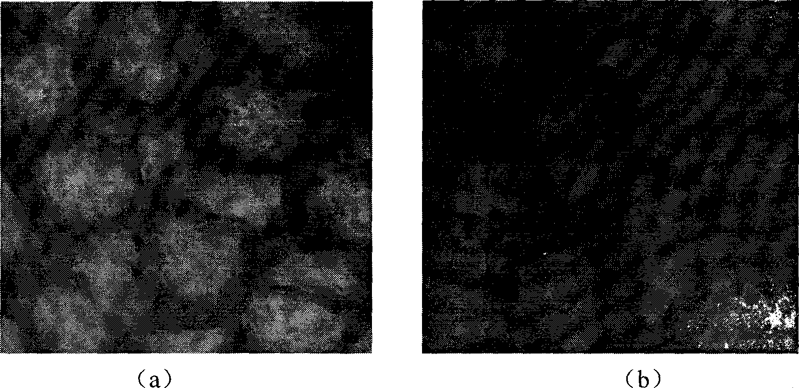 Method for preparing terylene environment protection type dye carrier