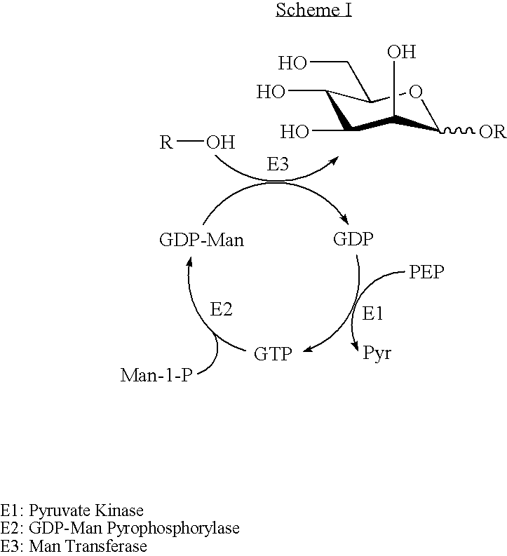 Mannosyl transfer with regeneration of GDP-mannose