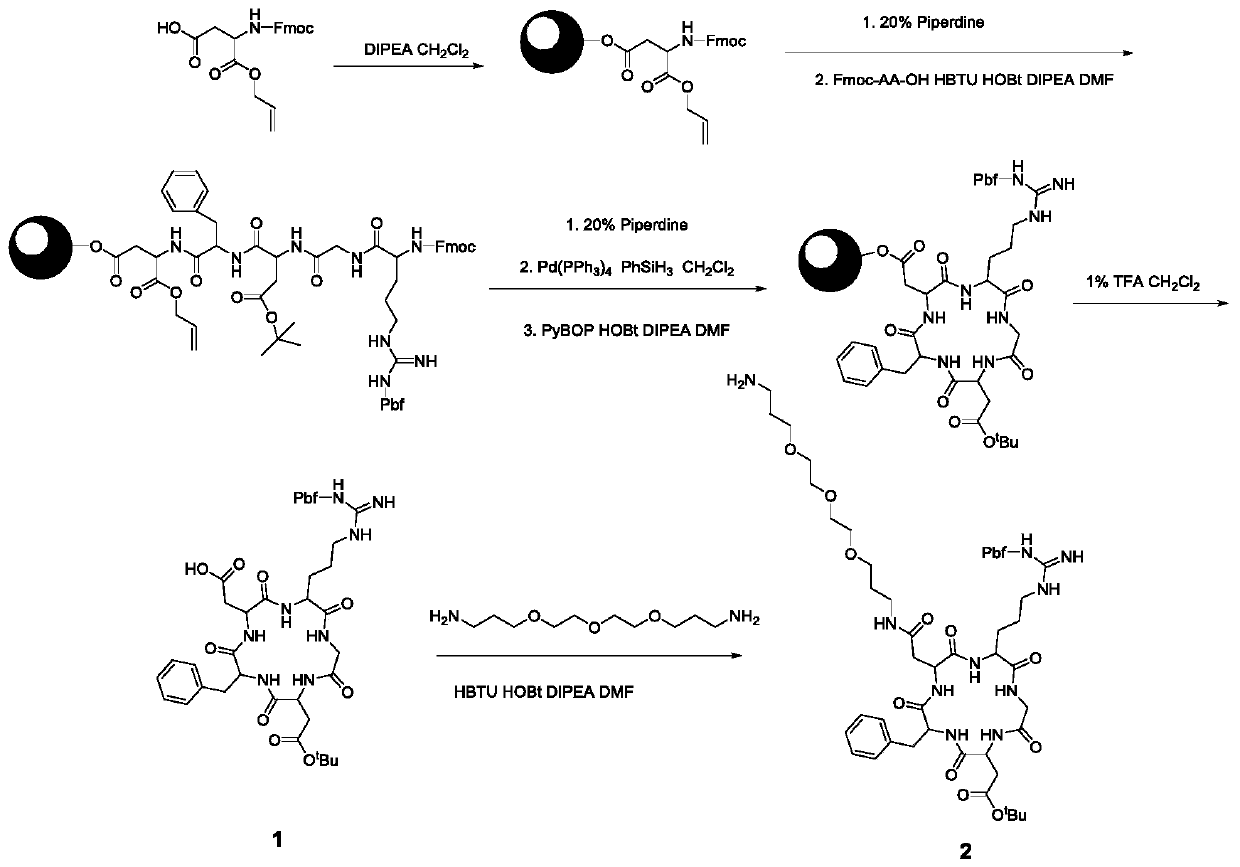 Synthesis of multimerized RGD peptide coupled Pyro photosensitizer and application thereof