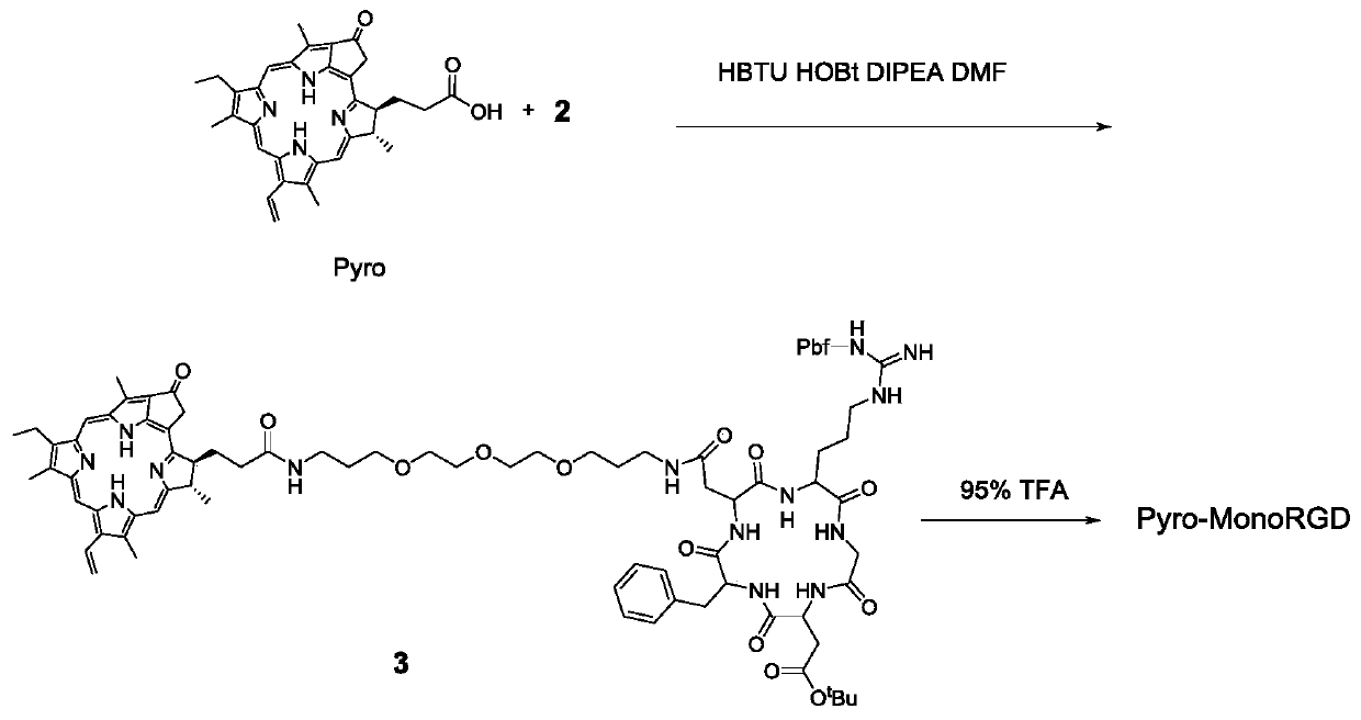 Synthesis of multimerized RGD peptide coupled Pyro photosensitizer and application thereof