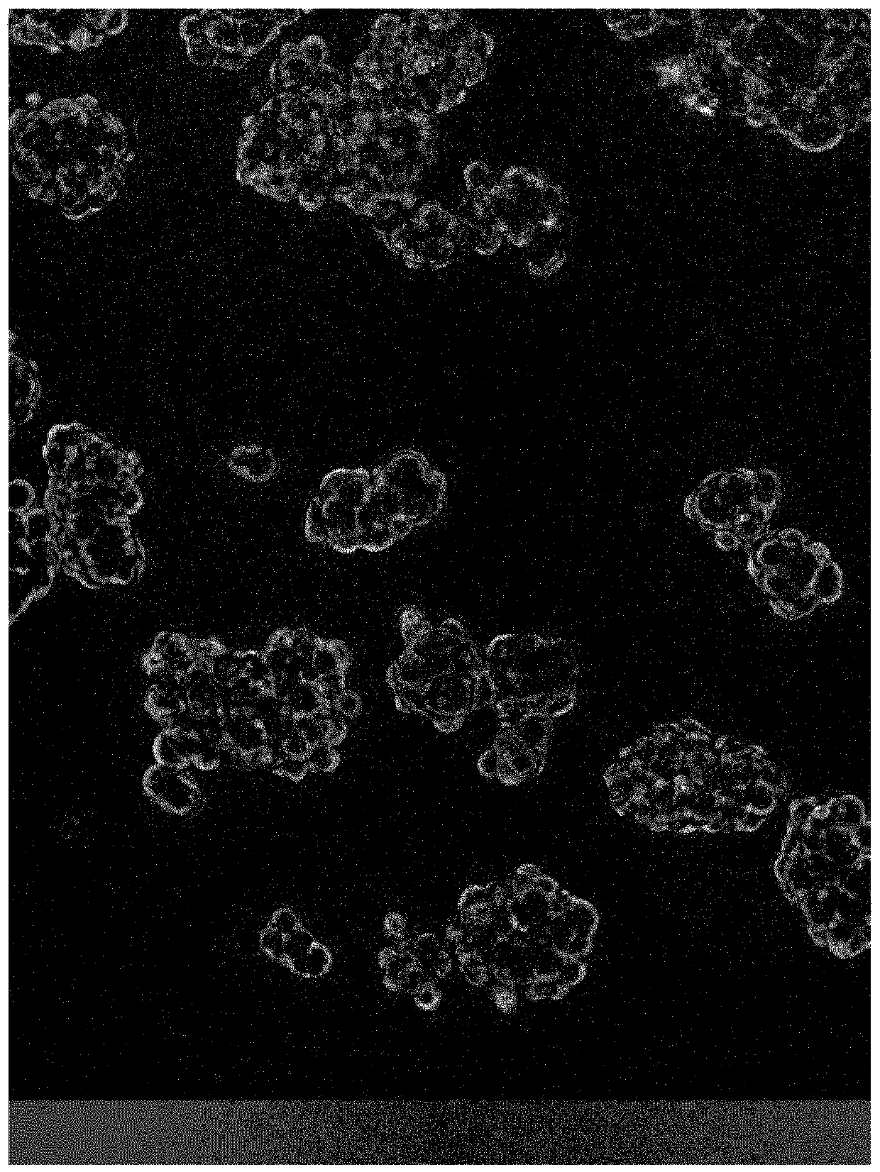 Chemically defined medium for the culture of cancer stem cell (CSC) containing cell populations