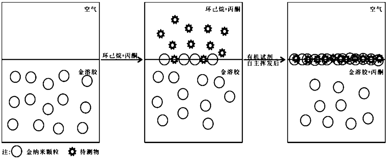 Liquid-liquid interface detection method for surface-enhanced Raman spectroscopy