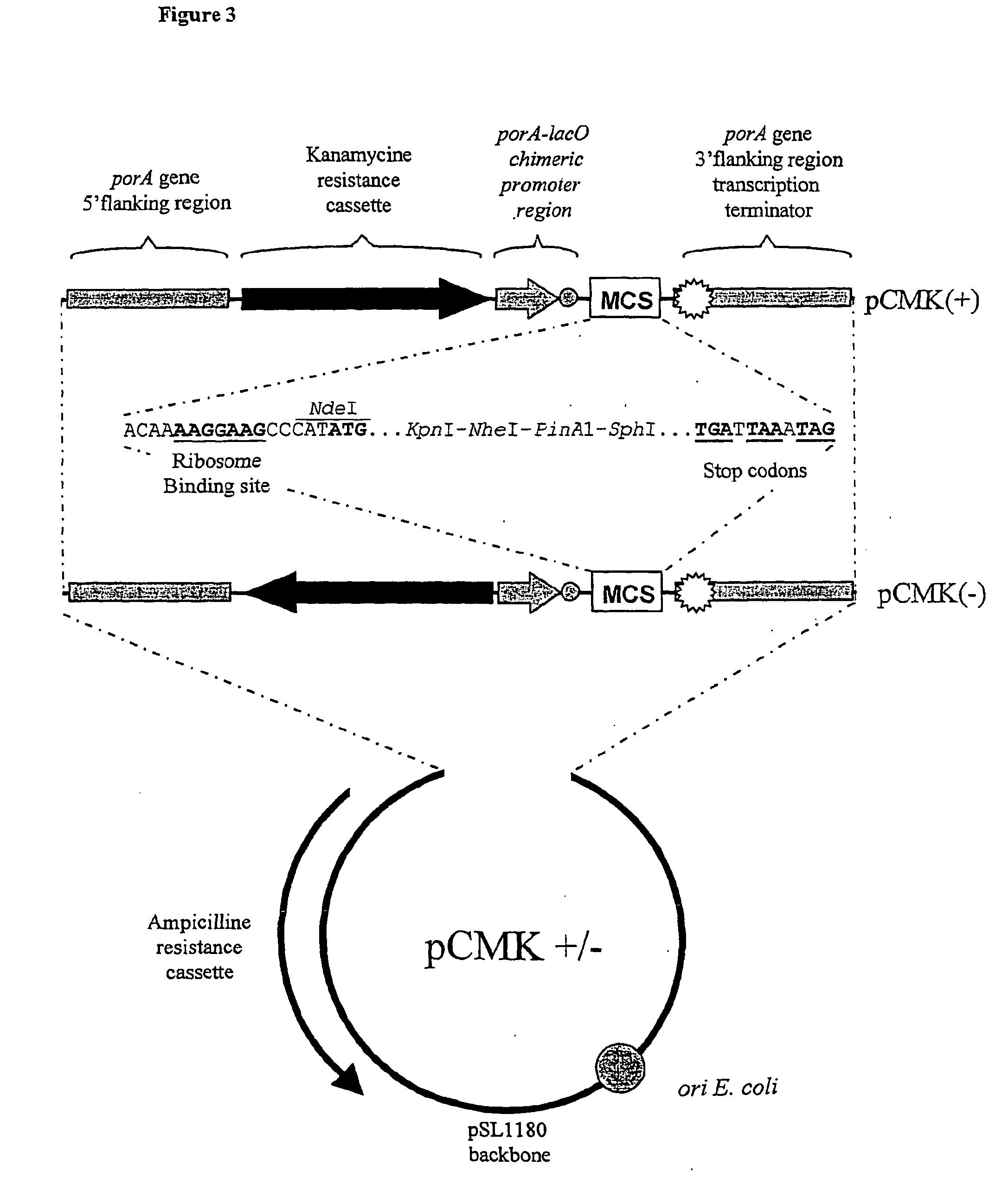 Vaccine composition