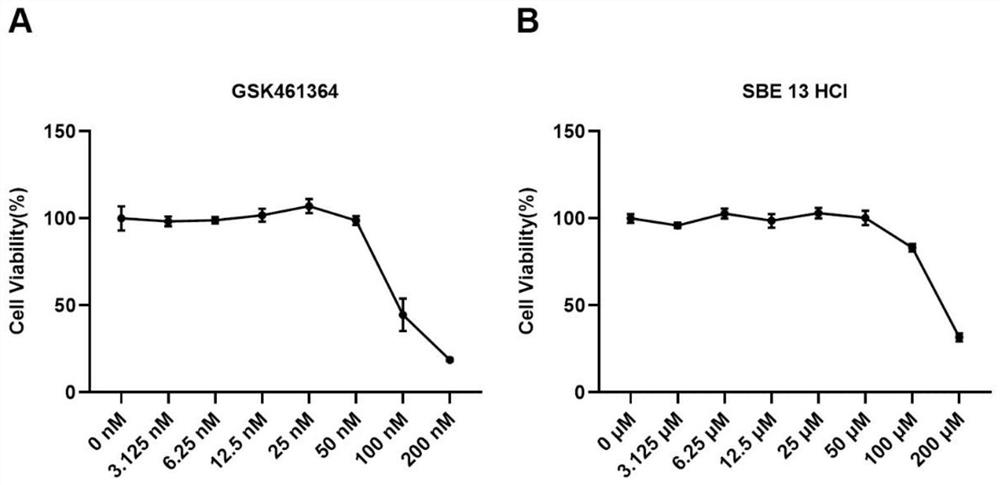 Application of PLK1 as target spot in preparation of medicine for treating Ebola virus diseases