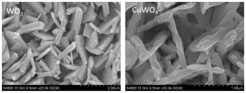 Method for preparing copper tungstate/nickel phosphate photoanode film with visible light response
