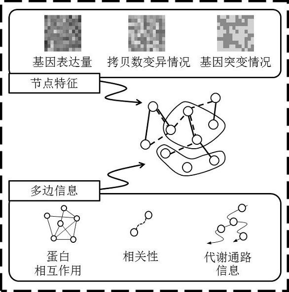 Drug sensitivity prediction method and device based on multi-omics data fusion