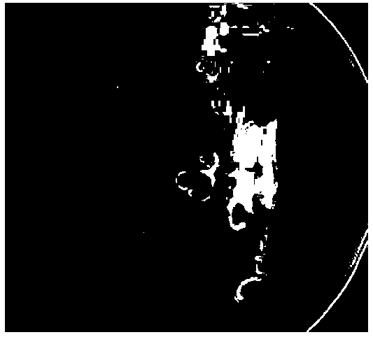 Cream composition and preparation method thereof