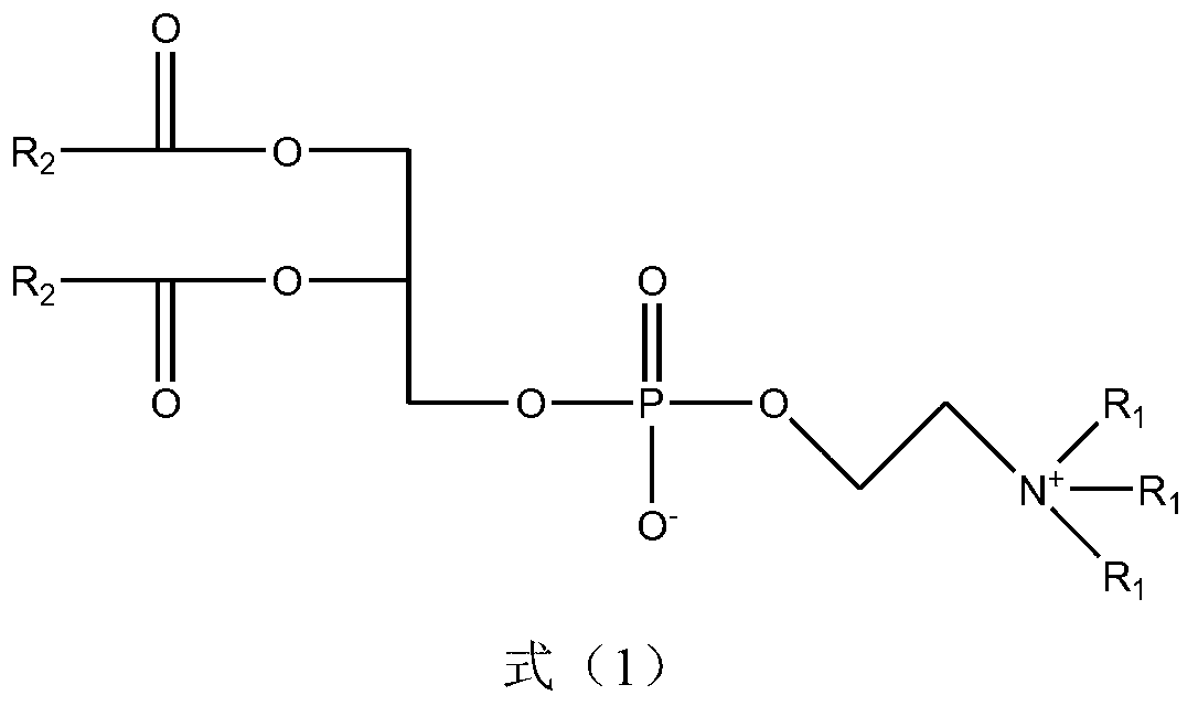 Nitrogen mustard phospholipid compound and preparation method thereof