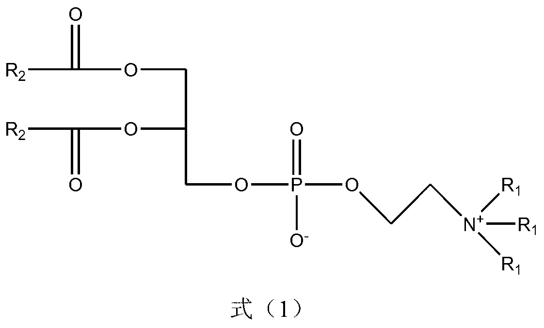 Nitrogen mustard phospholipid compound and preparation method thereof