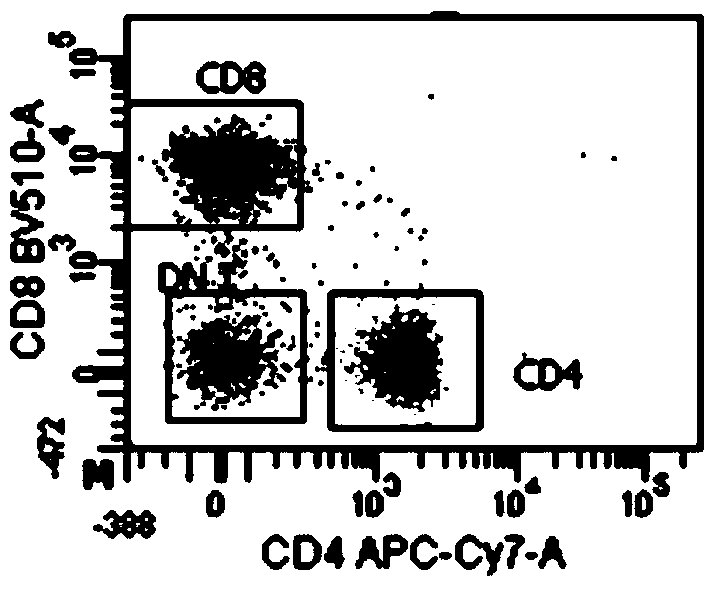 T lymphocyte immunophenotyping method and kit