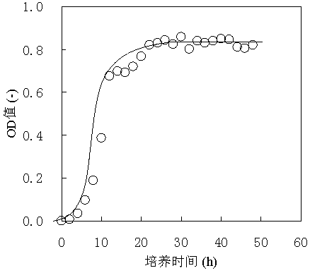 Saccharomyces cerevisiae strain with strong anti-freezing capacity and application of saccharomyces cerevisiae strain to processing of frozen blank