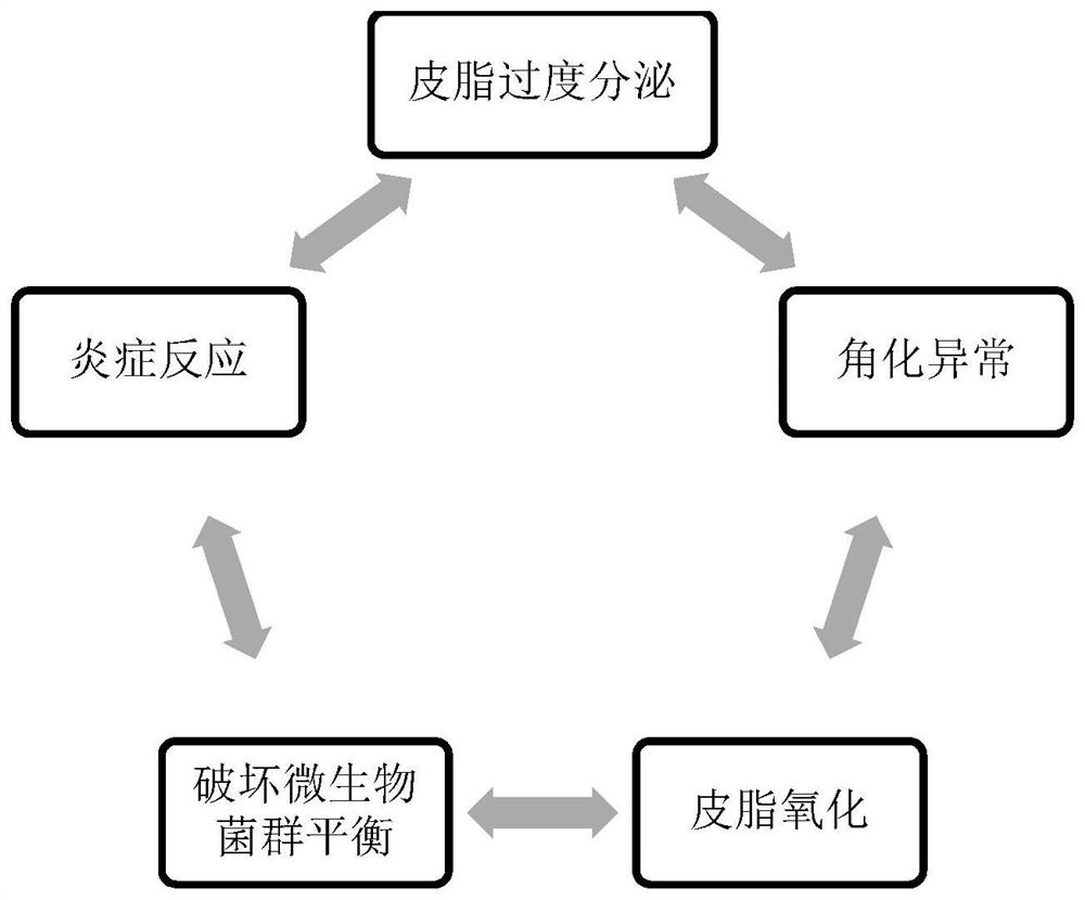 Acne-removing composition, application thereof and cosmetic containing acne-removing composition