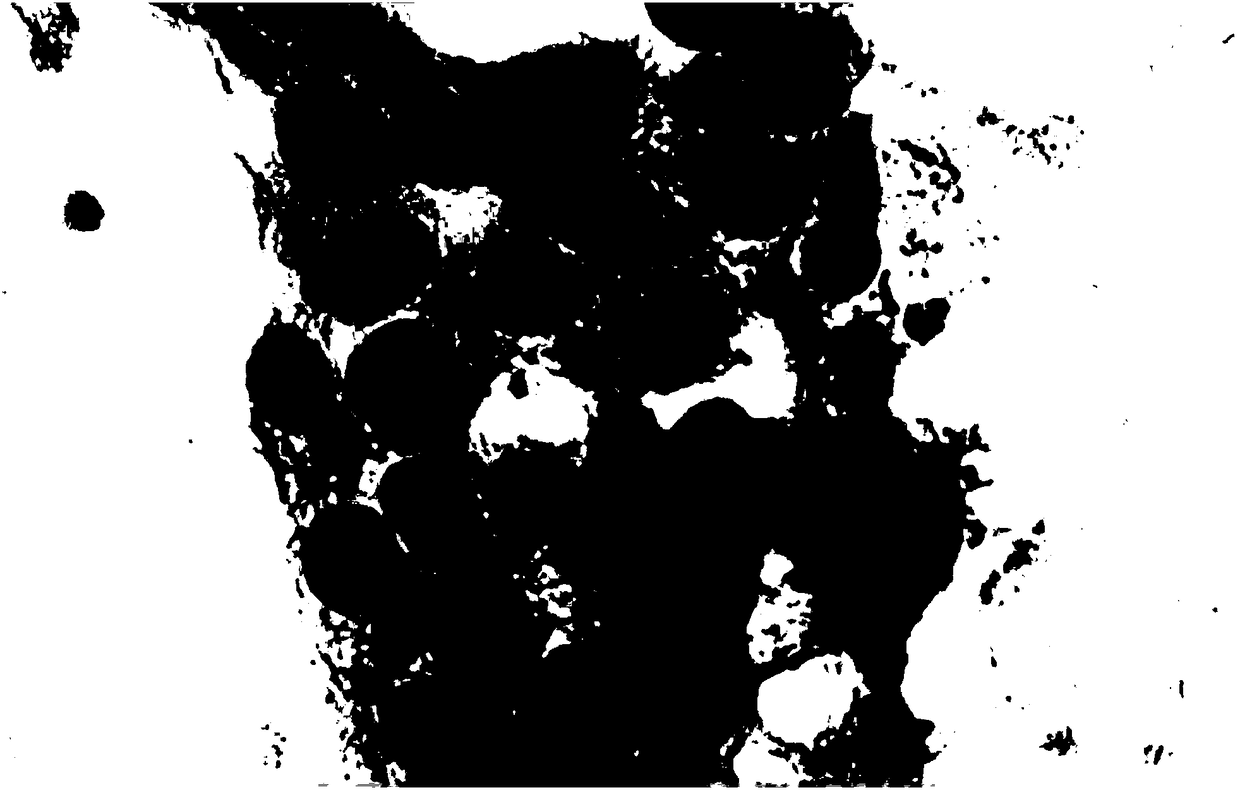 Improved hematoxylin staining solution and preparation method thereof