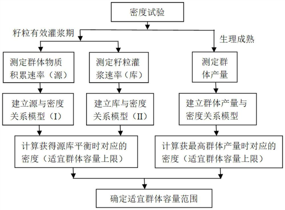 A method to determine the suitable population capacity of maize based on source-sink relationship