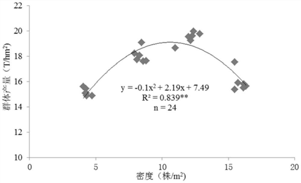 A method to determine the suitable population capacity of maize based on source-sink relationship