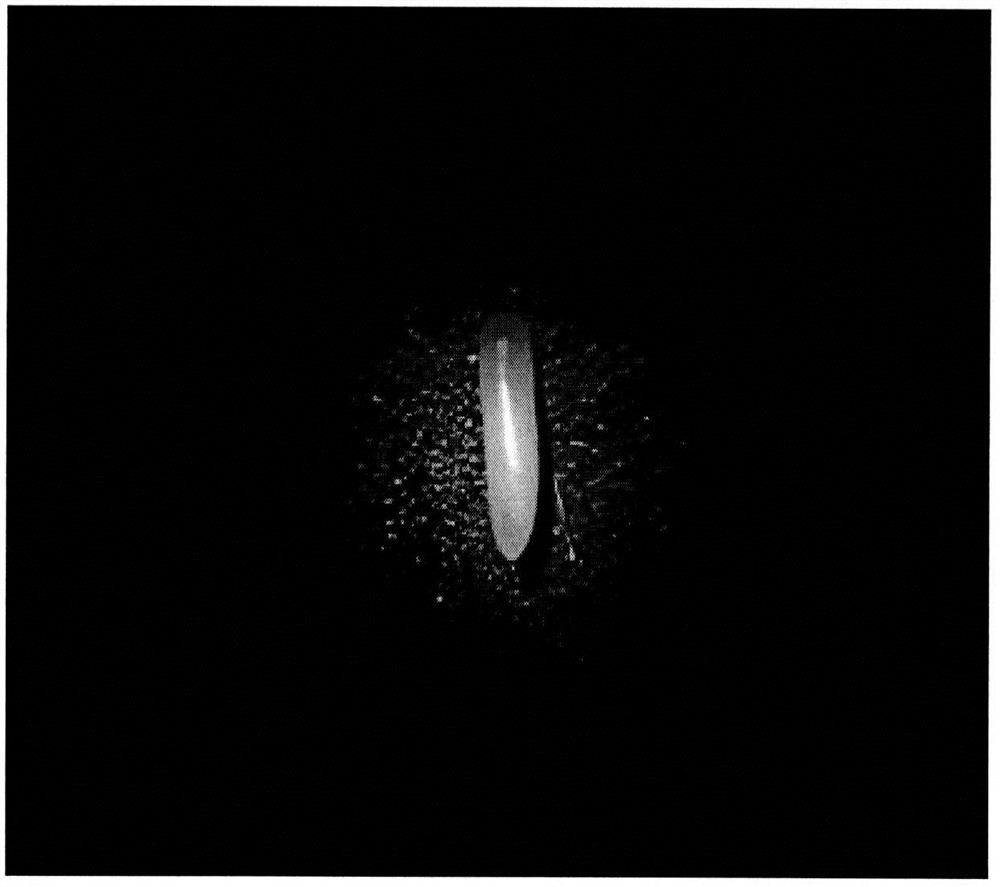 A method for inducing embryogenic callus from immature embryos of Iris germanica