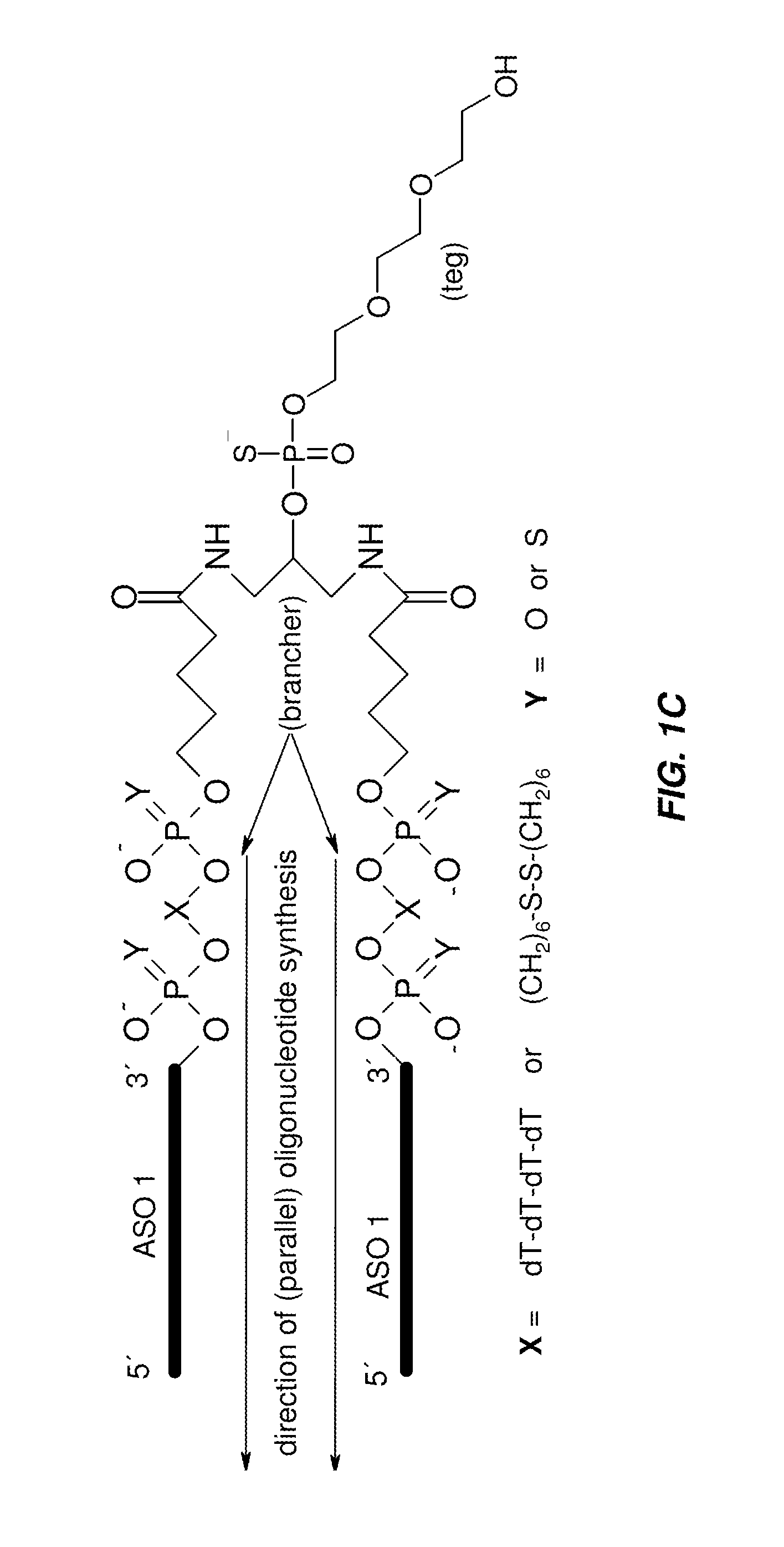 Multimeric oligonucleotide compounds