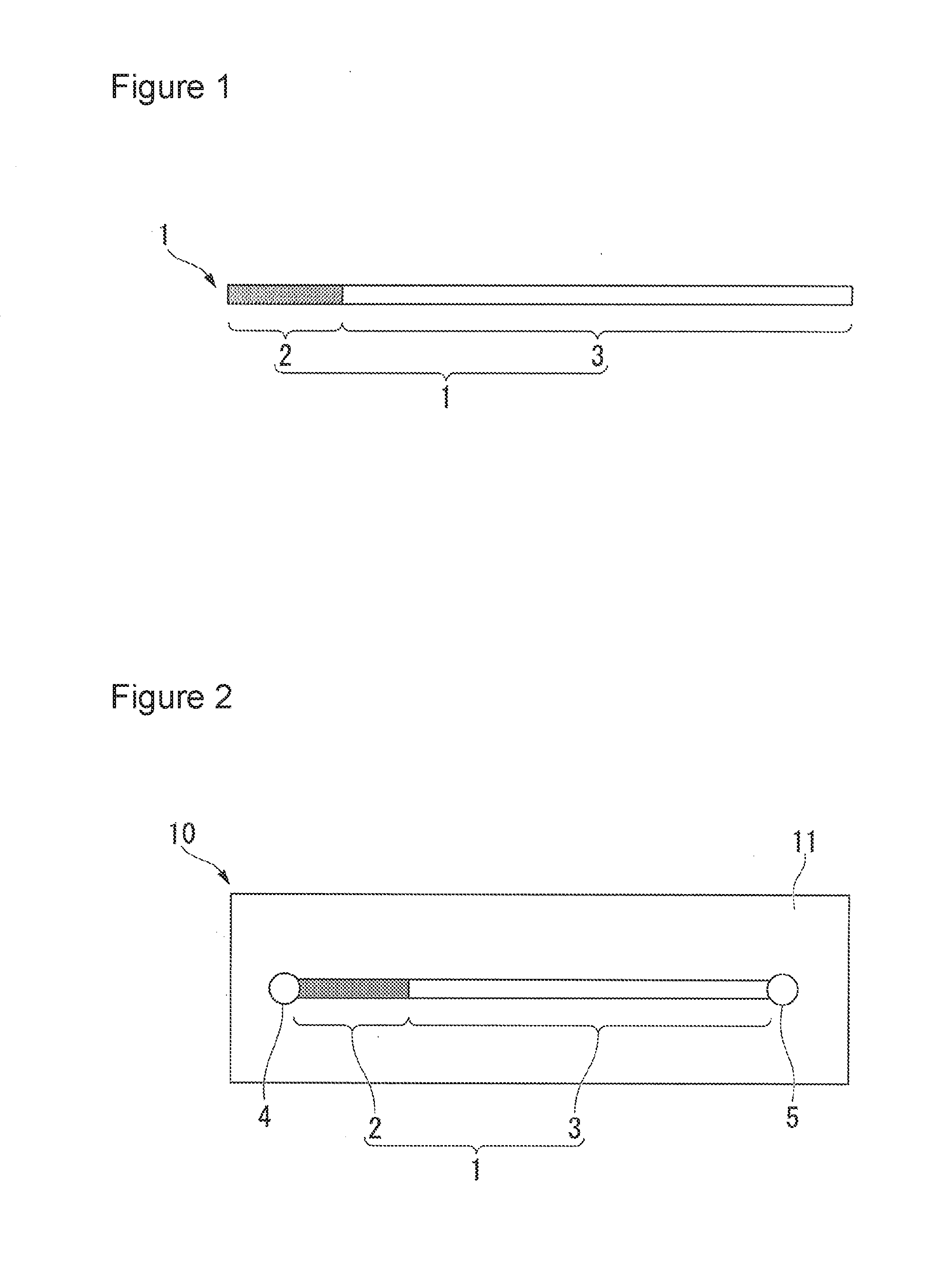 Capillary device for separation and analysis, microfluidic chip for separation and analysis, analysis method for proteins or peptides, electrophoresis instrument, and microfluidic chip electrophoresis instrument for separation and analysis