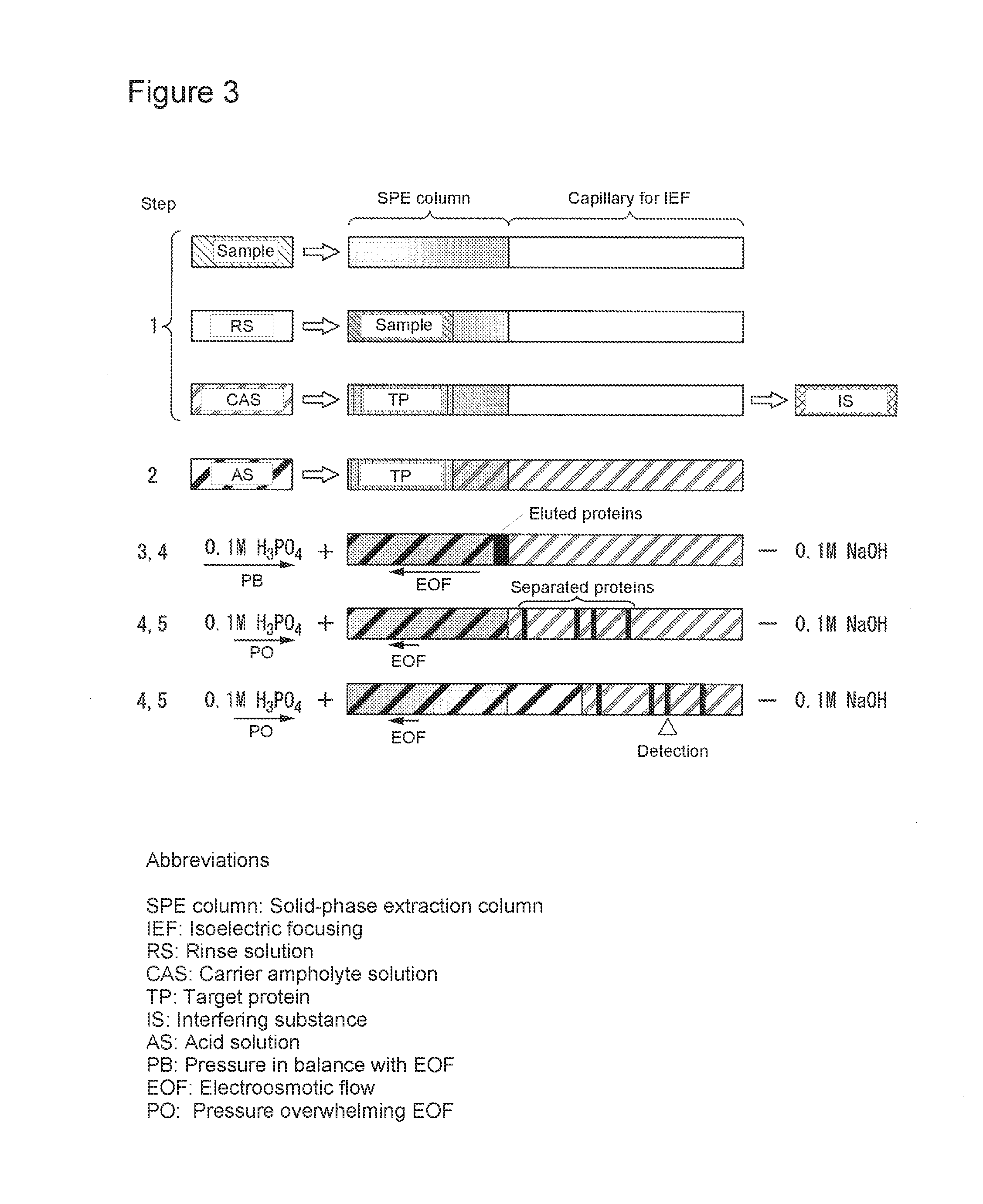 Capillary device for separation and analysis, microfluidic chip for separation and analysis, analysis method for proteins or peptides, electrophoresis instrument, and microfluidic chip electrophoresis instrument for separation and analysis