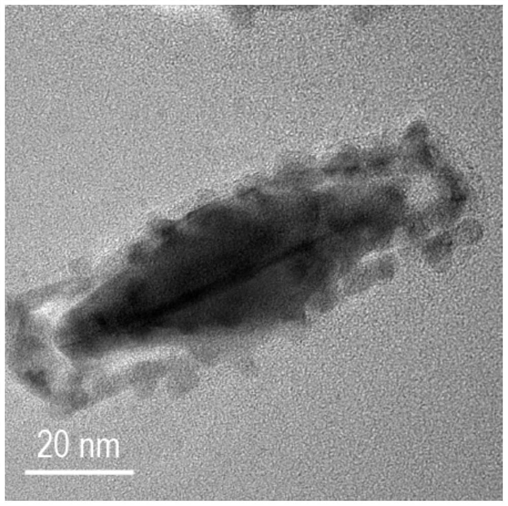 Metal nanometer frame with array structures and preparation method and application of metal nanometer frame