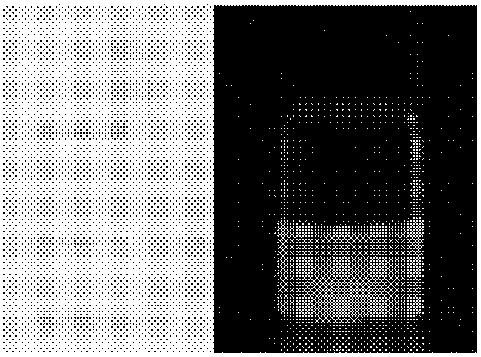 Electrophoresis display particle comprising metal component and preparation method as well as functions thereof