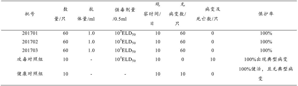 Preparation method and product of goose astrovirus egg yolk antibody