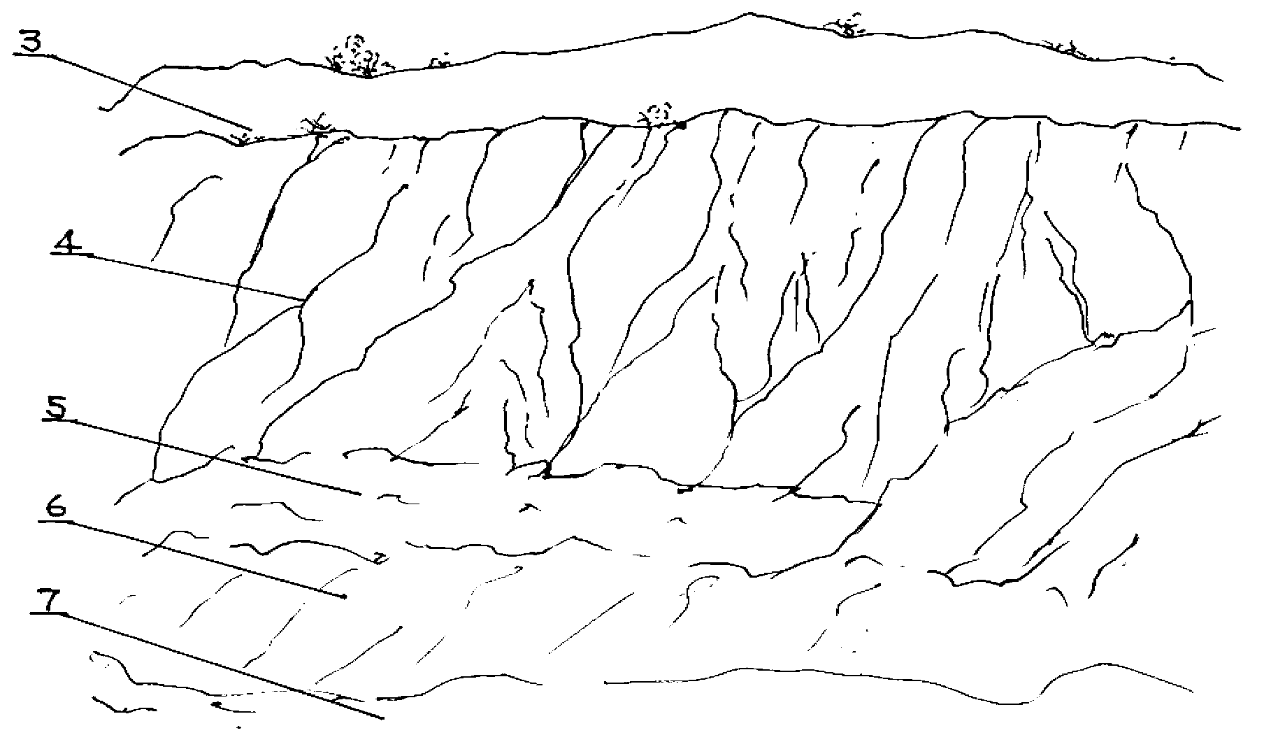 Novel method for planting fungus grass to treat collapsing hill