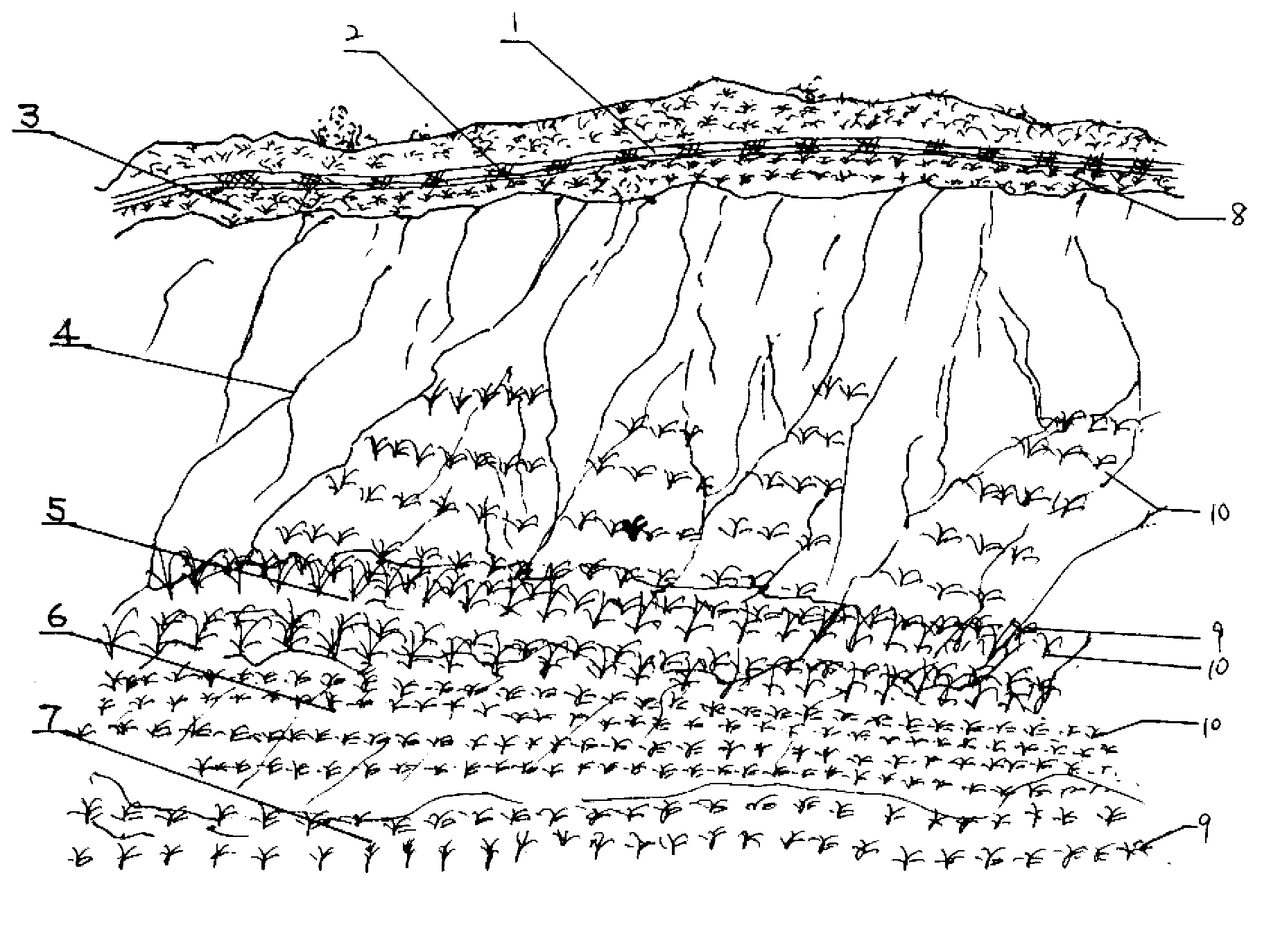 Novel method for planting fungus grass to treat collapsing hill