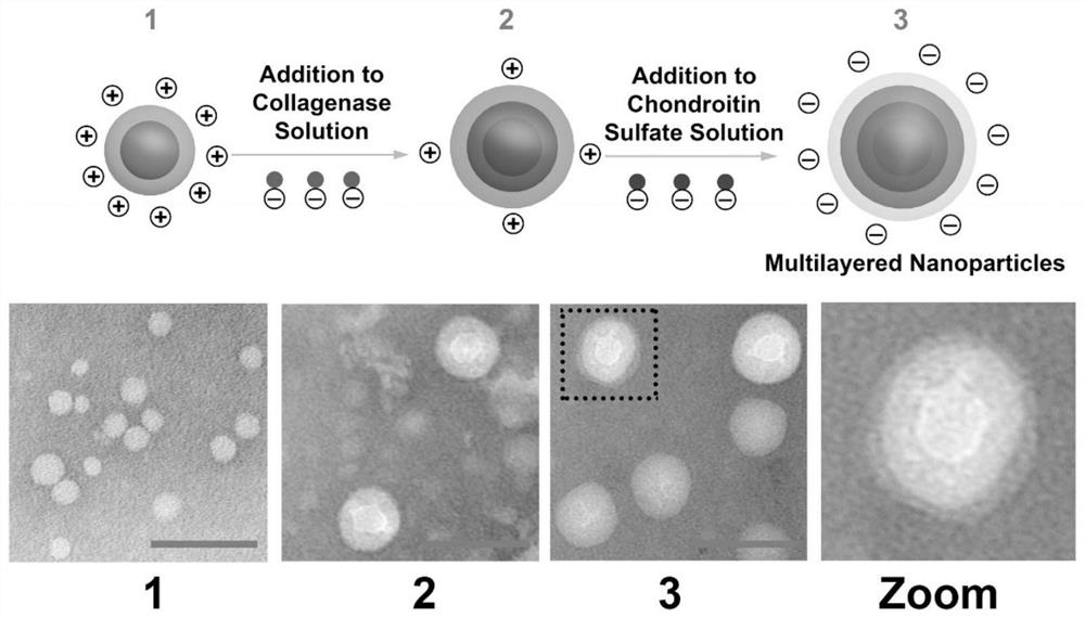 Nano-drug carrier, nano-drug preparation, preparation method and application