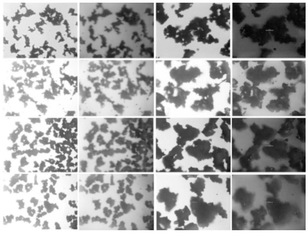 Sitafloxacin fine granule and preparation process thereof