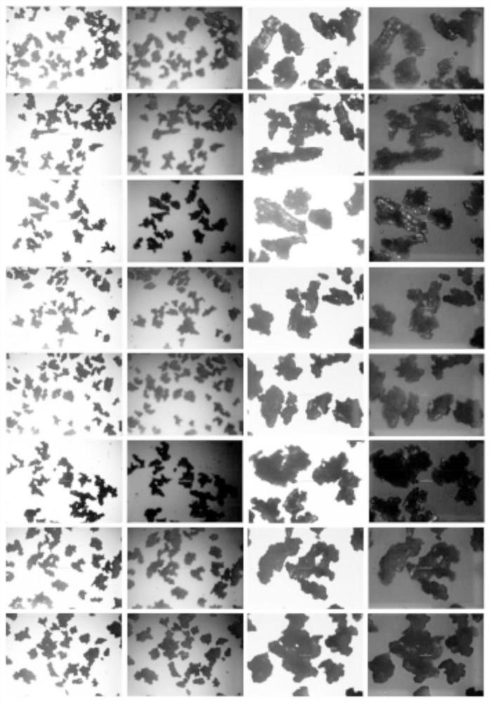 Sitafloxacin fine granule and preparation process thereof