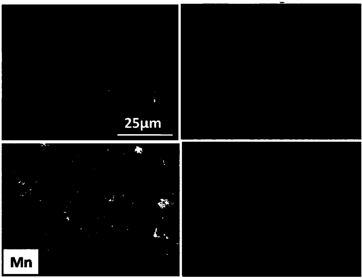 Preparation method and application of MnO/C positive electrode electrocatalyst