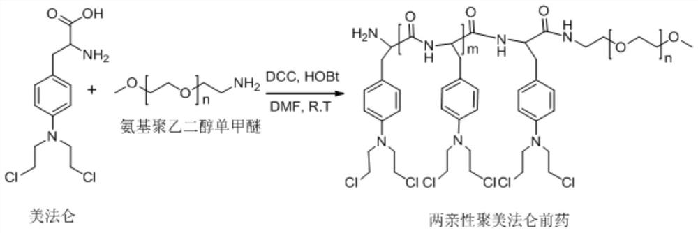 Amphiphilic polymelphalan prodrug micelle and preparation method thereof