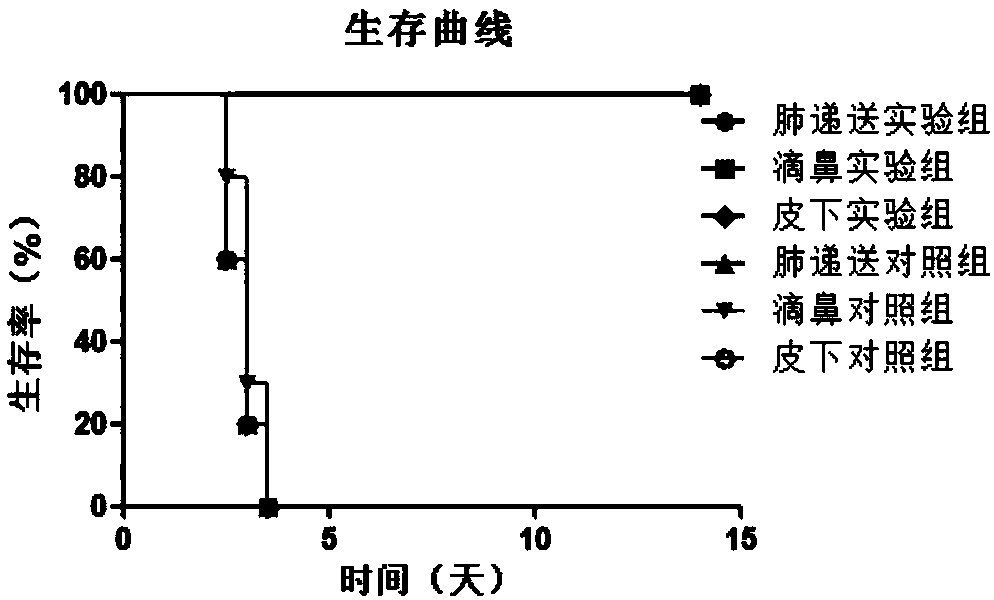 Immune mouse model with pulmonary delivery of liquid aerosol of Yersinia pestis F1 vaccine