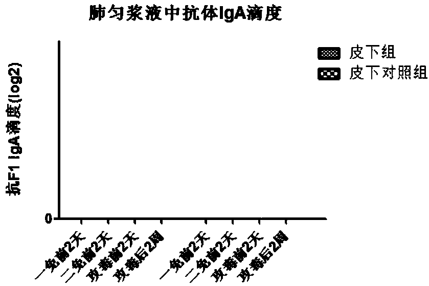 Immune mouse model with pulmonary delivery of liquid aerosol of Yersinia pestis F1 vaccine