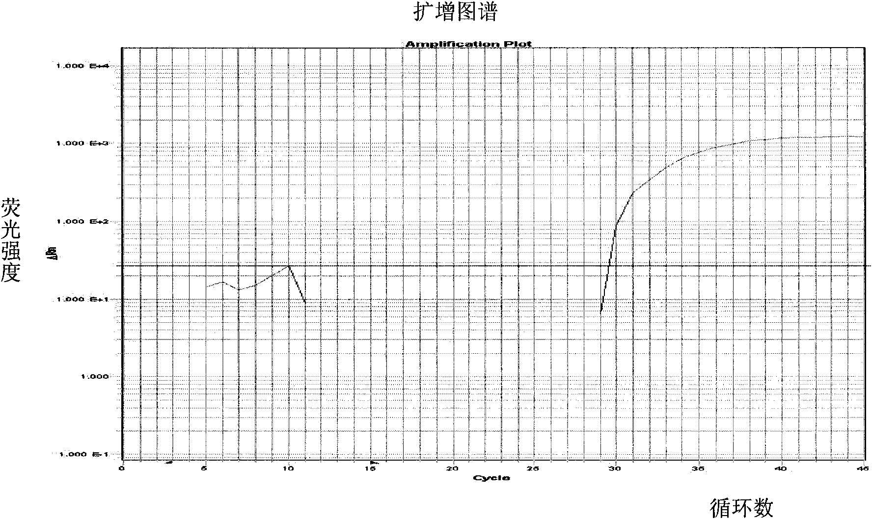 Primer and prober for detecting carrot component in foods and beverages