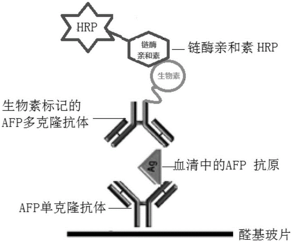 Chemiluminescent protein chip method and kit for antigen-like proteins in serum