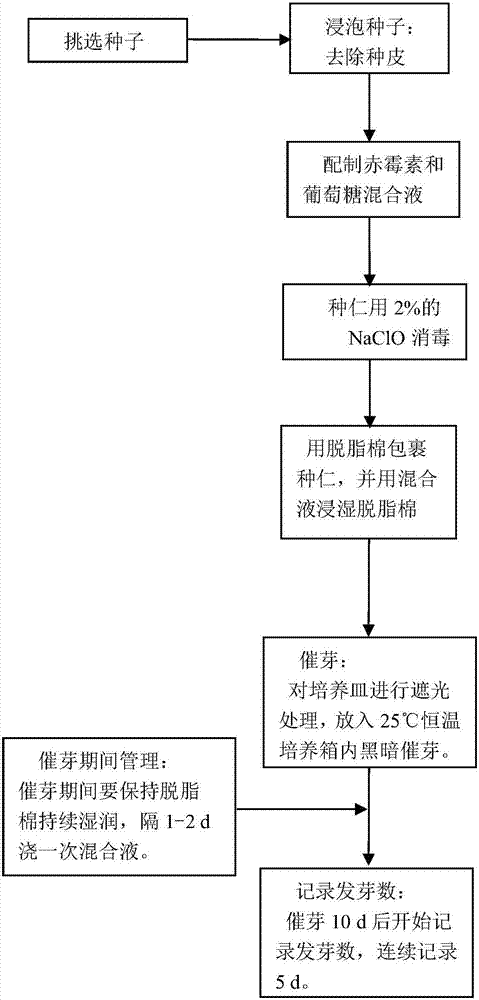 Method for quickly relieving dormancy of pyrus betulaefolia seeds