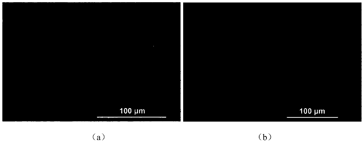 Adenine-reinforced degradable soft tissue adhesive as well as preparation method and use method thereof