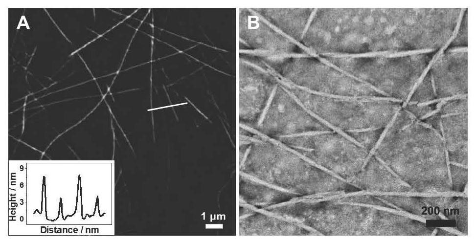 Preparation method of polypeptide supramolecular Bcl-xL antagonist nano-drug with mitochondrial targeting property