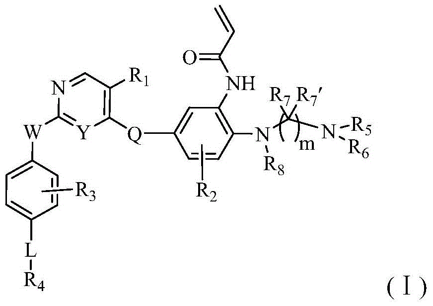 Heterocyclic derivate tyrosine kinase inhibitor