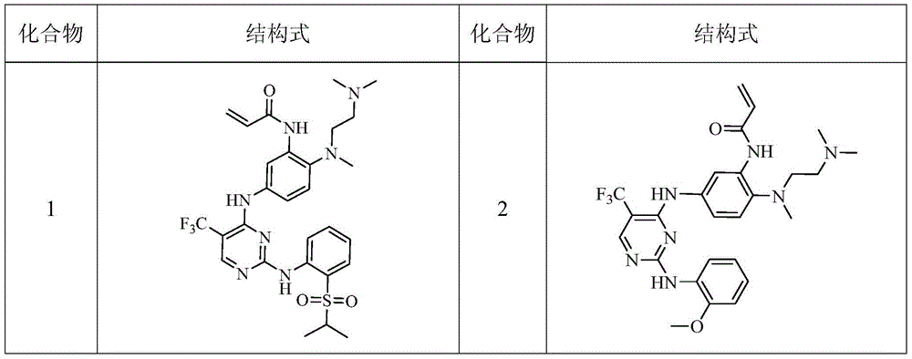 Heterocyclic derivate tyrosine kinase inhibitor