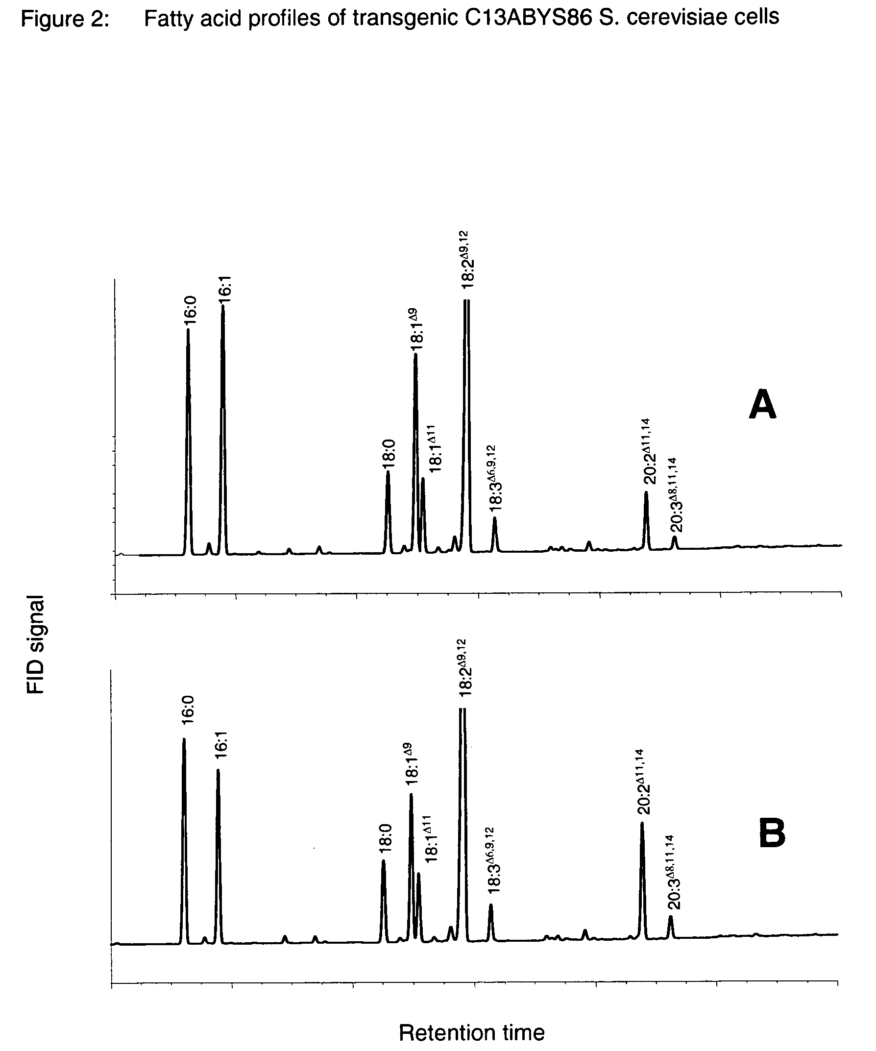 Method for the production of polyunsaturated fatty acids