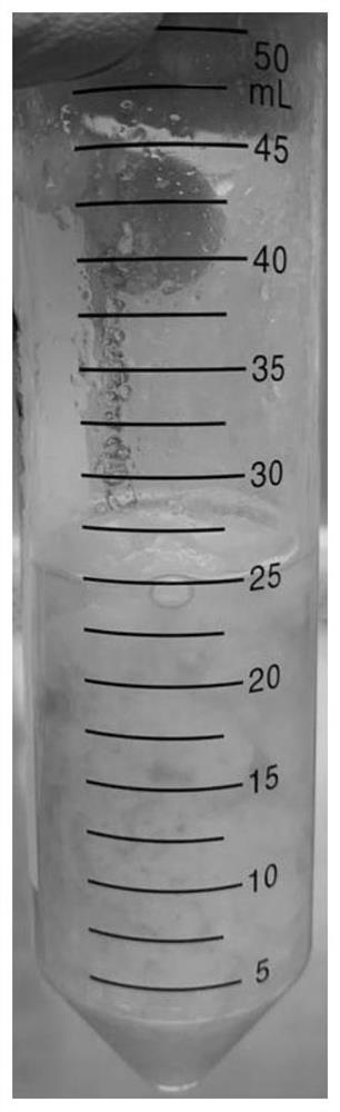 Preparation method of adipose tissue extracellular matrix