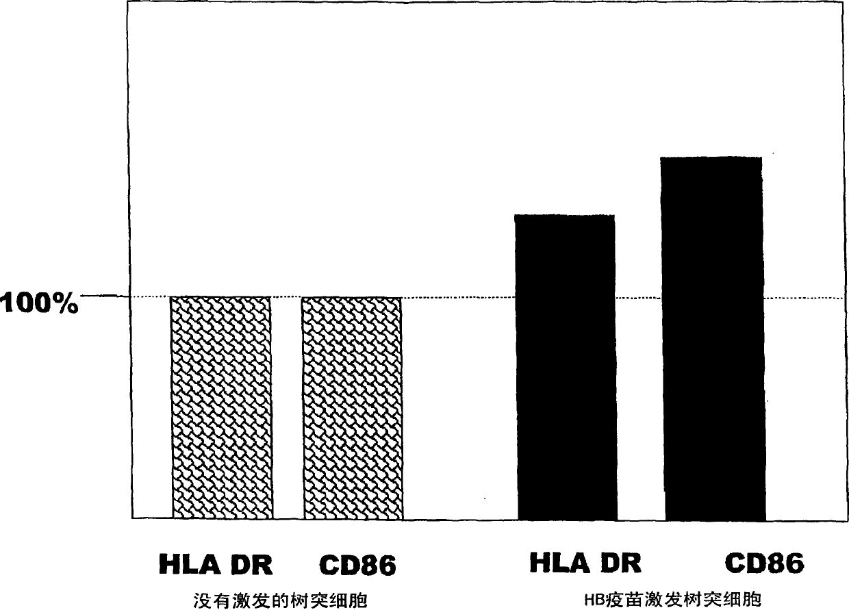 Dendritic cell obtained by antigen pulsing