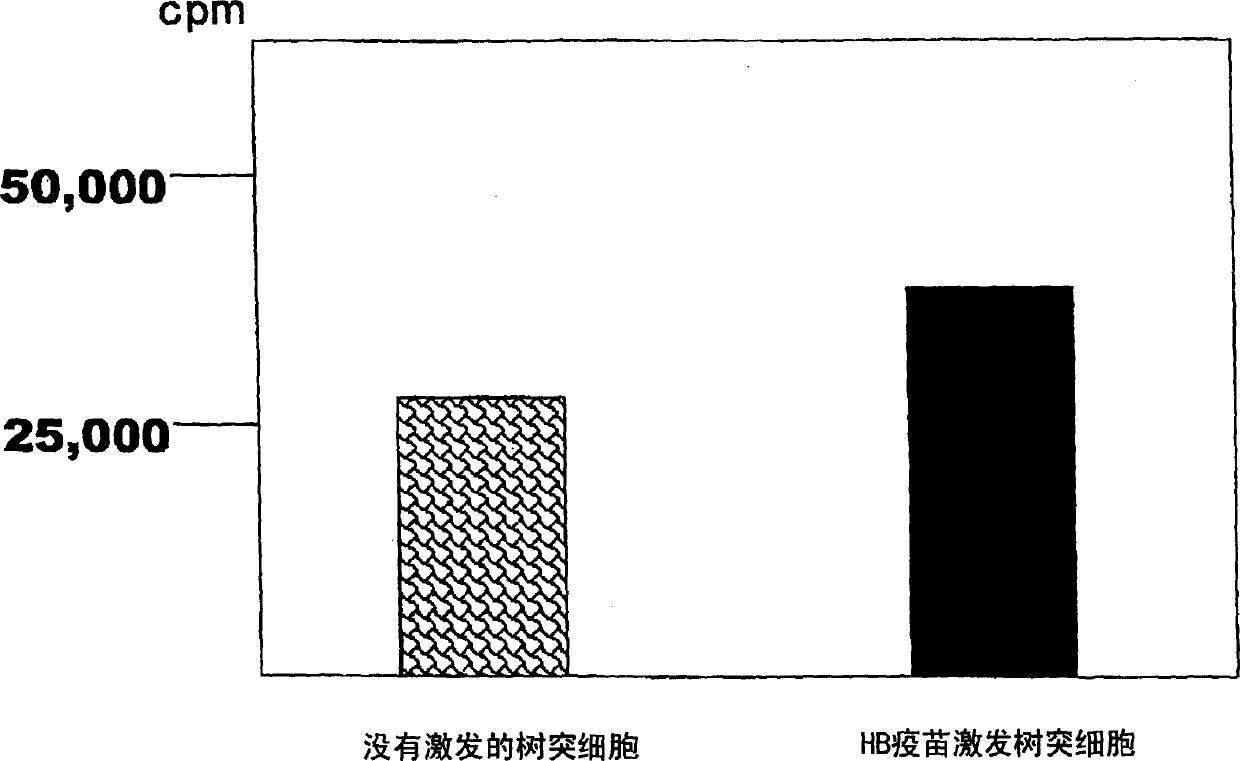 Dendritic cell obtained by antigen pulsing