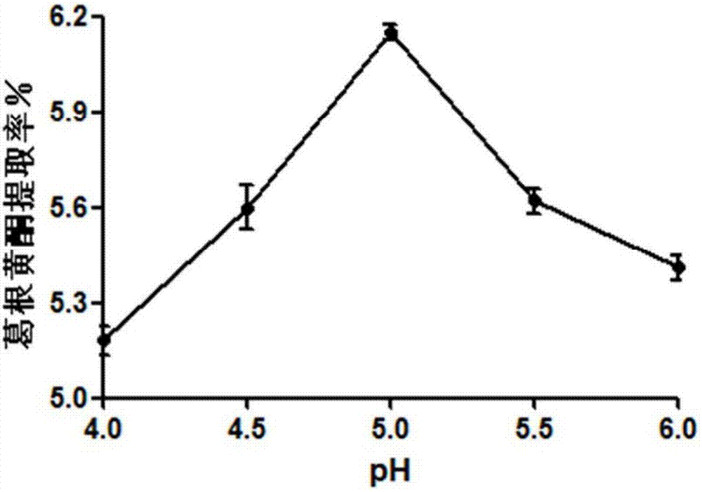 Compound enzyme used for extracting pueraria flavones, and method used for extraction with compound enzyme