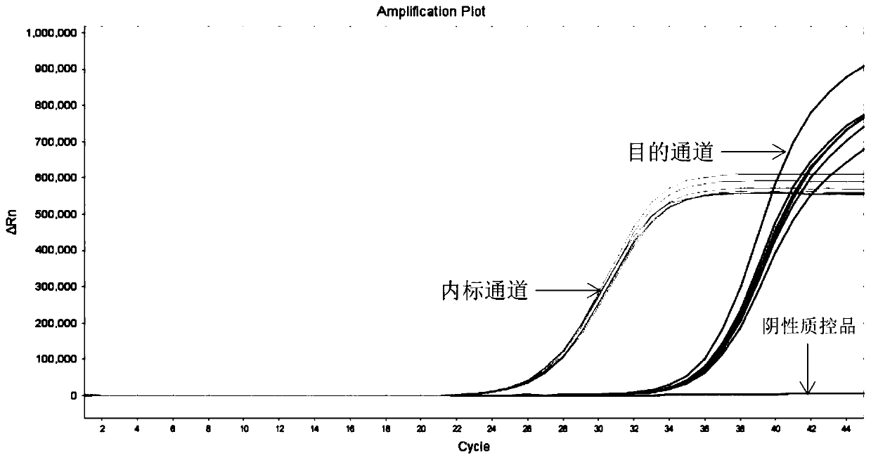 Kit and method for multiple detection of ROS1 fusion gene mutation